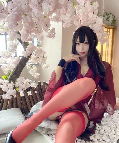 内战风云电视剧免费观看_在线免费观看电视剧